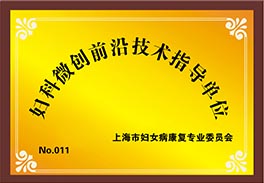 妇科微创前沿技术指导单位