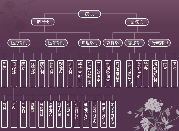 组织架构分布图