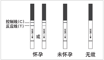 早早孕测孕纸阳性的图片